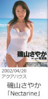 20020420_isoyamasayaka_nectarine.jpg